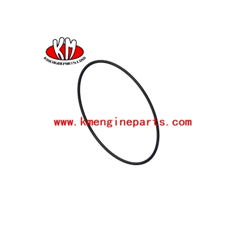 3010617 VTA28 Motor O anel SEAL para peças sobressalentes de navio